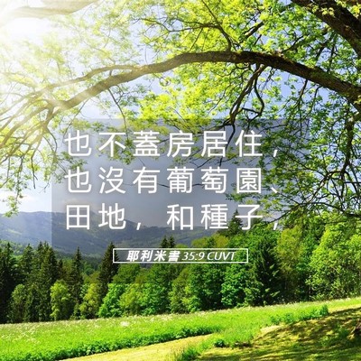 Picture 05 - 耶 利 米 書 35:9 CUVT - 也 不 蓋 房 居 住 ， 也 沒 有 葡 萄 - Bible Verse Picture