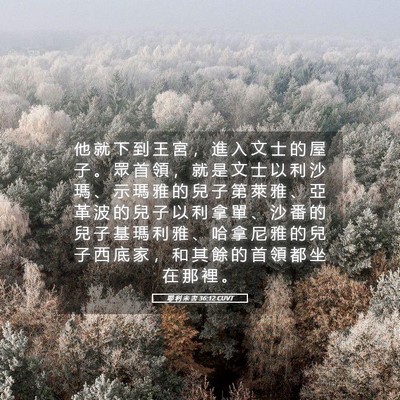 Picture 05 - 耶 利 米 書 36:12 CUVT - 他 就 下 到 王 宮 ， 進 入 文 士 的 - Bible Verse Picture