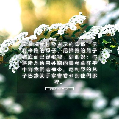 Picture 05 - 耶 利 米 書 36:14 CUVT - 眾 首 領 就 打 發 古 示 的 曾 孫 、 - Bible Verse Picture