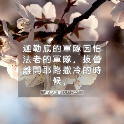 Picture 05 - 耶 利 米 書 37:11 CUVT - 迦 勒 底 的 軍 隊 因 怕 法 老 的 軍 - Bible Verse Picture