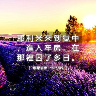 Picture 05 - 耶 利 米 書 37:16 CUVT - 耶 利 米 來 到 獄 中 ， 進 入 牢 房 - Bible Verse Picture