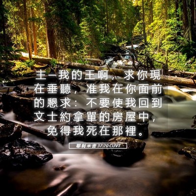 Picture 05 - 耶 利 米 書 37:20 CUVT - 主 ─ 我 的 王 啊 ， 求 你 現 在 垂 - Bible Verse Picture