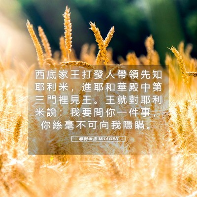 Picture 05 - 耶 利 米 書 38:14 CUVT - 西 底 家 王 打 發 人 帶 領 先 知 耶 - Bible Verse Picture
