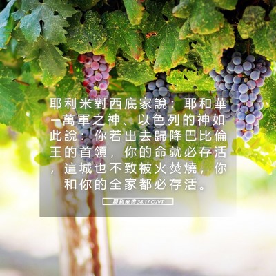Picture 05 - 耶 利 米 書 38:17 CUVT - 耶 利 米 對 西 底 家 說 ： 耶 和 華 - Bible Verse Picture