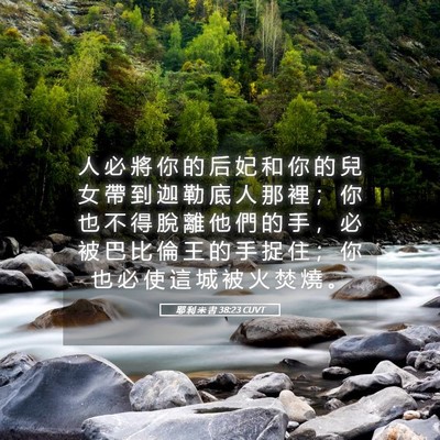 Picture 05 - 耶 利 米 書 38:23 CUVT - 人 必 將 你 的 后 妃 和 你 的 兒 女 - Bible Verse Picture