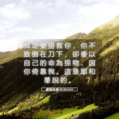 Picture 05 - 耶 利 米 書 39:18 CUVT - 我 定 要 搭 救 你 ， 你 不 致 倒 在 - Bible Verse Picture