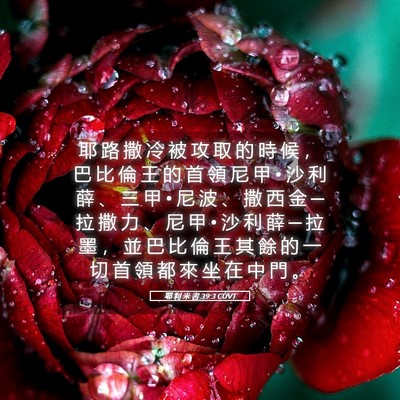 Picture 05 - 耶 利 米 書 39:3 CUVT - 耶 路 撒 冷 被 攻 取 的 時 候 ， 巴 - Bible Verse Picture