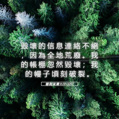 Picture 05 - 耶 利 米 書 4:20 CUVT - 毀 壞 的 信 息 連 絡 不 絕 ， 因 為 - Bible Verse Picture