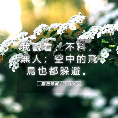 Picture 05 - 耶 利 米 書 4:25 CUVT - 我 觀 看 ， 不 料 ， 無 人 ； 空 中 - Bible Verse Picture