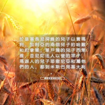 Picture 05 - 耶 利 米 書 40:8 CUVT - 於 是 軍 長 尼 探 雅 的 兒 子 以 實 - Bible Verse Picture