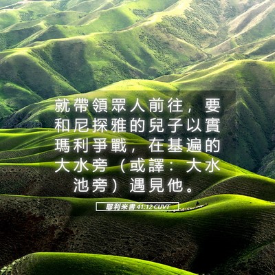 Picture 05 - 耶 利 米 書 41:12 CUVT - 就 帶 領 眾 人 前 往 ， 要 和 尼 探 - Bible Verse Picture