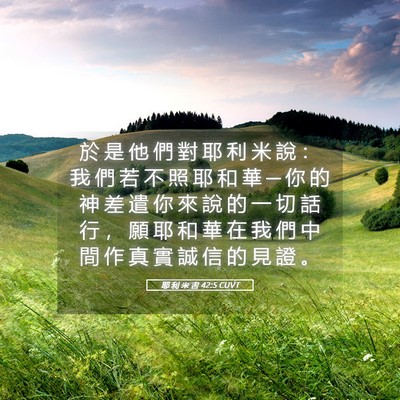 Picture 05 - 耶 利 米 書 42:5 CUVT - 於 是 他 們 對 耶 利 米 說 ： 我 們 - Bible Verse Picture