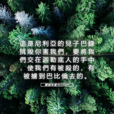 Picture 05 - 耶 利 米 書 43:3 CUVT - 這 是 尼 利 亞 的 兒 子 巴 錄 挑 唆 - Bible Verse Picture