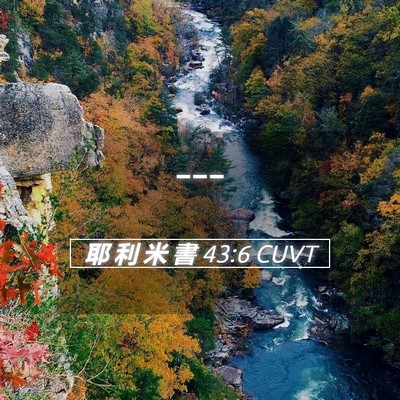 Picture 05 - 耶 利 米 書 43:6 CUVT -  - Bible Verse Picture