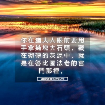 Picture 05 - 耶 利 米 書 43:9 CUVT - 你 在 猶 大 人 眼 前 要 用 手 拿 幾 - Bible Verse Picture