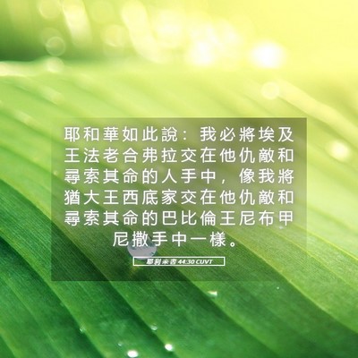 Picture 05 - 耶 利 米 書 44:30 CUVT - 耶 和 華 如 此 說 ： 我 必 將 埃 及 - Bible Verse Picture
