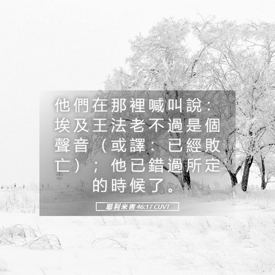 Picture 05 - 耶 利 米 書 46:17 CUVT - 他 們 在 那 裡 喊 叫 說 ： 埃 及 王 - Bible Verse Picture