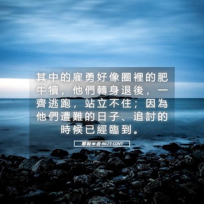 Picture 05 - 耶 利 米 書 46:21 CUVT - 其 中 的 雇 勇 好 像 圈 裡 的 肥 牛 - Bible Verse Picture