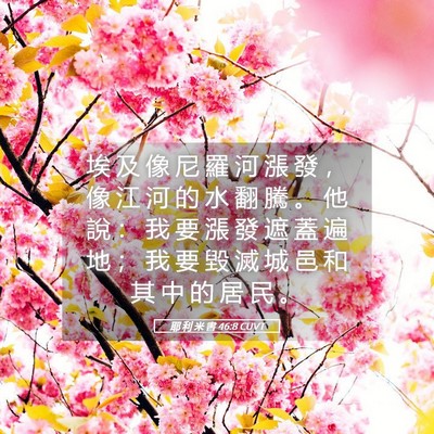Picture 05 - 耶 利 米 書 46:8 CUVT - 埃 及 像 尼 羅 河 漲 發 ， 像 江 河 - Bible Verse Picture