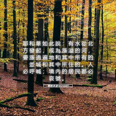 Picture 05 - 耶 利 米 書 47:2 CUVT - 耶 和 華 如 此 說 ： 有 水 從 北 方 - Bible Verse Picture