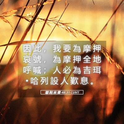 Picture 05 - 耶 利 米 書 48:31 CUVT - 因 此 ， 我 要 為 摩 押 哀 號 ， 為 - Bible Verse Picture