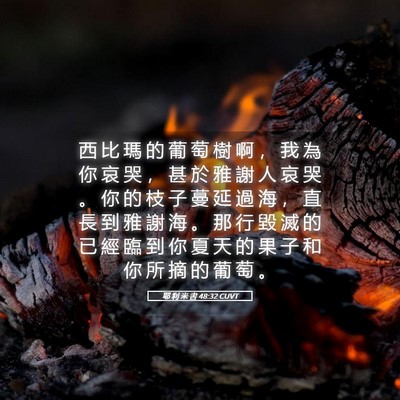 Picture 05 - 耶 利 米 書 48:32 CUVT - 西 比 瑪 的 葡 萄 樹 啊 ， 我 為 你 - Bible Verse Picture