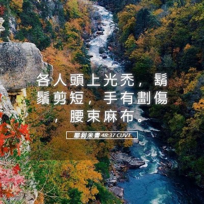 Picture 05 - 耶 利 米 書 48:37 CUVT - 各 人 頭 上 光 禿 ， 鬍 鬚 剪 短 ， - Bible Verse Picture