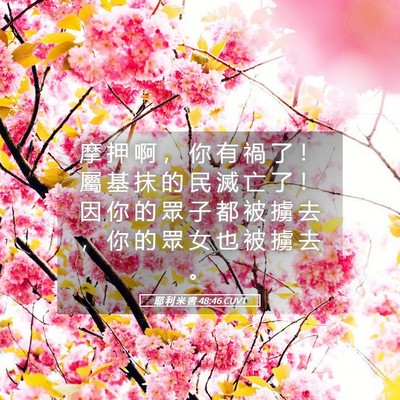 Picture 05 - 耶 利 米 書 48:46 CUVT - 摩 押 啊 ， 你 有 禍 了 ！ 屬 基 抹 - Bible Verse Picture