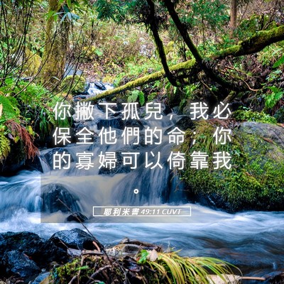 Picture 05 - 耶 利 米 書 49:11 CUVT - 你 撇 下 孤 兒 ， 我 必 保 全 他 們 - Bible Verse Picture