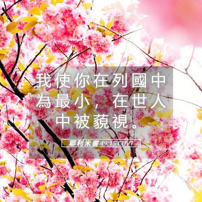 Picture 05 - 耶 利 米 書 49:15 CUVT - 我 使 你 在 列 國 中 為 最 小 ， 在 - Bible Verse Picture