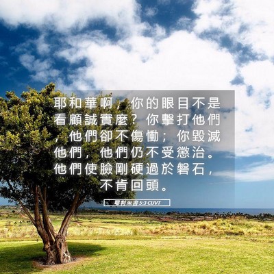 Picture 05 - 耶 利 米 書 5:3 CUVT - 耶 和 華 啊 ， 你 的 眼 目 不 是 看 - Bible Verse Picture