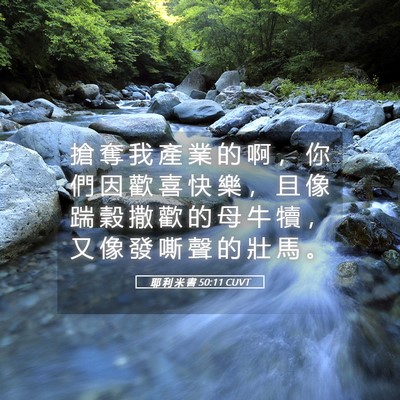 Picture 05 - 耶 利 米 書 50:11 CUVT - 搶 奪 我 產 業 的 啊 ， 你 們 因 歡 - Bible Verse Picture