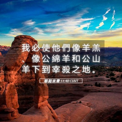 Picture 05 - 耶 利 米 書 51:40 CUVT - 我 必 使 他 們 像 羊 羔 、 像 公 綿 - Bible Verse Picture