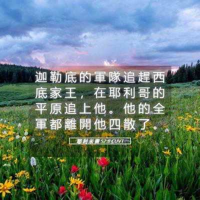 Picture 05 - 耶 利 米 書 52:8 CUVT - 迦 勒 底 的 軍 隊 追 趕 西 底 家 王 - Bible Verse Picture