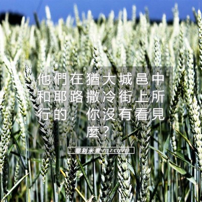 Picture 05 - 耶 利 米 書 7:17 CUVT - 他 們 在 猶 大 城 邑 中 和 耶 路 撒 - Bible Verse Picture