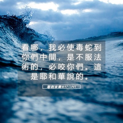 Picture 05 - 耶 利 米 書 8:17 CUVT - 看 哪 ， 我 必 使 毒 蛇 到 你 們 中 - Bible Verse Picture