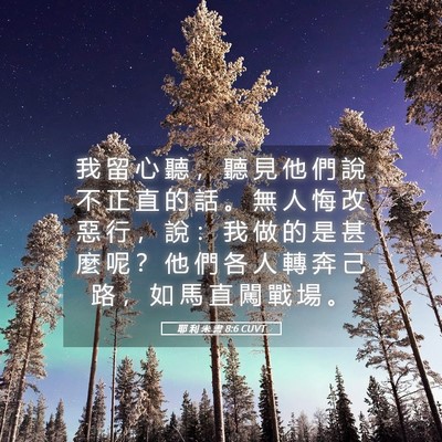 Picture 05 - 耶 利 米 書 8:6 CUVT - 我 留 心 聽 ， 聽 見 他 們 說 不 正 - Bible Verse Picture