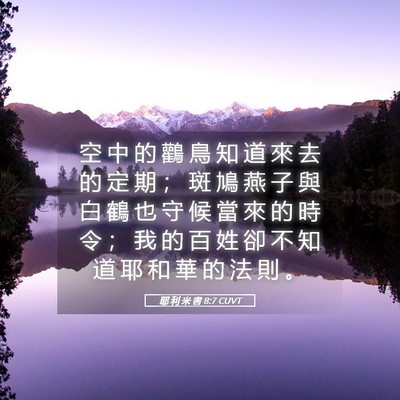 Picture 05 - 耶 利 米 書 8:7 CUVT - 空 中 的 鸛 鳥 知 道 來 去 的 定 期 - Bible Verse Picture