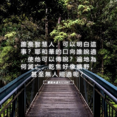 Picture 05 - 耶 利 米 書 9:12 CUVT - 誰 是 智 慧 人 ， 可 以 明 白 這 事 - Bible Verse Picture