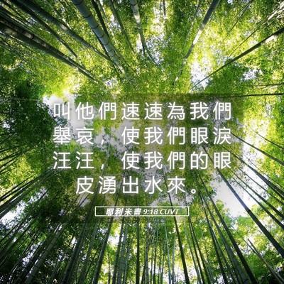 Picture 05 - 耶 利 米 書 9:18 CUVT - 叫 他 們 速 速 為 我 們 舉 哀 ， 使 - Bible Verse Picture