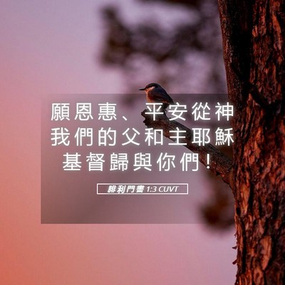 Picture 05 - 腓 利 門 書 1:3 CUVT - 願 恩 惠 、 平 安 從 神 我 們 的 父 - Bible Verse Picture