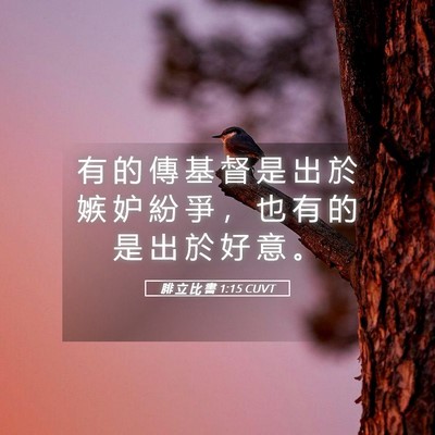 Picture 05 - 腓 立 比 書 1:15 CUVT - 有 的 傳 基 督 是 出 於 嫉 妒 紛 爭 - Bible Verse Picture