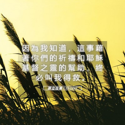 Picture 05 - 腓 立 比 書 1:19 CUVT - 因 為 我 知 道 ， 這 事 藉 著 你 們 - Bible Verse Picture