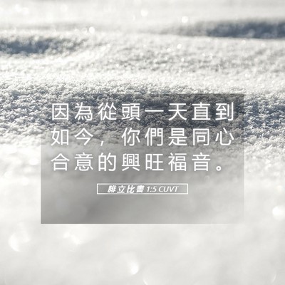Picture 05 - 腓 立 比 書 1:5 CUVT - 因 為 從 頭 一 天 直 到 如 今 ， 你 - Bible Verse Picture