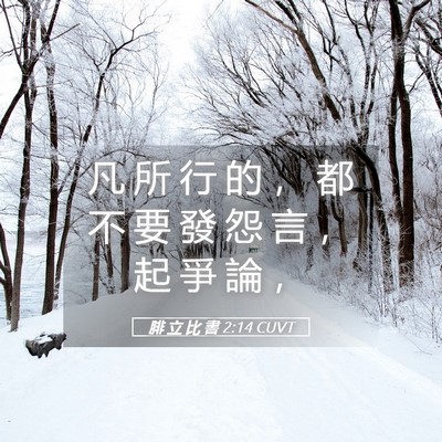 Picture 05 - 腓 立 比 書 2:14 CUVT - 凡 所 行 的 ， 都 不 要 發 怨 言 ， - Bible Verse Picture