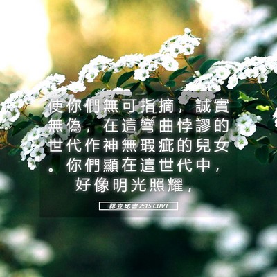 Picture 05 - 腓 立 比 書 2:15 CUVT - 使 你 們 無 可 指 摘 ， 誠 實 無 偽 - Bible Verse Picture