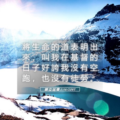 Picture 05 - 腓 立 比 書 2:16 CUVT - 將 生 命 的 道 表 明 出 來 ， 叫 我 - Bible Verse Picture