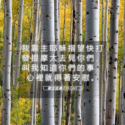 Picture 05 - 腓 立 比 書 2:19 CUVT - 我 靠 主 耶 穌 指 望 快 打 發 提 摩 - Bible Verse Picture