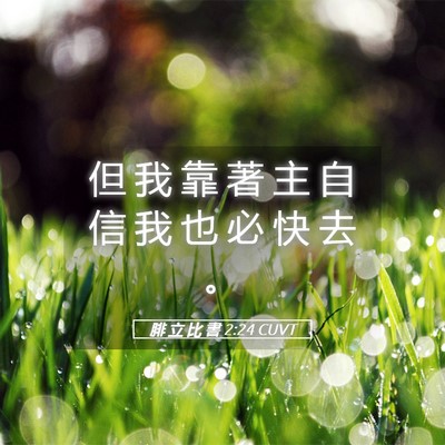 Picture 05 - 腓 立 比 書 2:24 CUVT - 但 我 靠 著 主 自 信 我 也 必 快 去 - Bible Verse Picture
