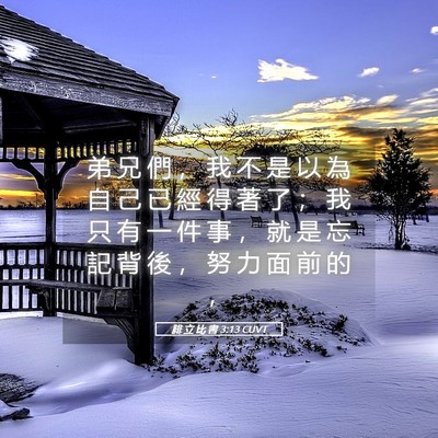 Picture 05 - 腓 立 比 書 3:13 CUVT - 弟 兄 們 ， 我 不 是 以 為 自 己 已 - Bible Verse Picture